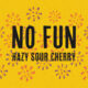 No Fun Artwork